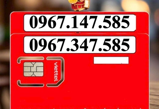 Sim Đôi Siêu Rẻ